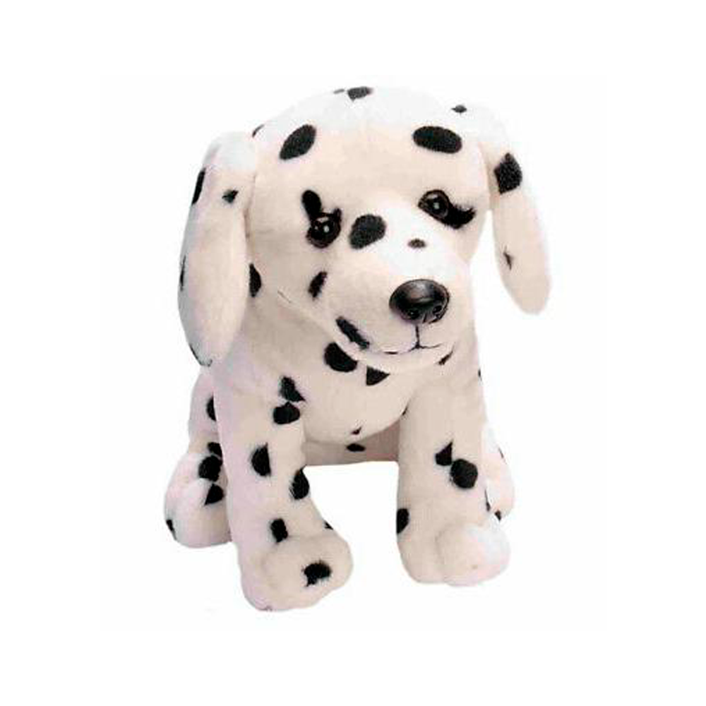 Sitting Dog Dalmatian