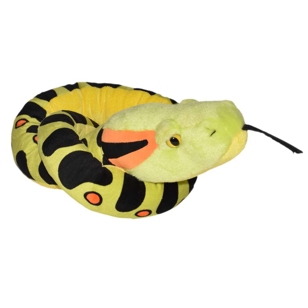 Snakesss 54" Anaconda