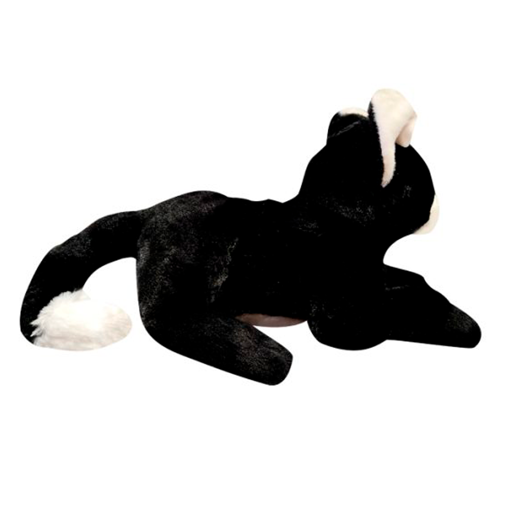 Paws Cat Black Tuxedo
