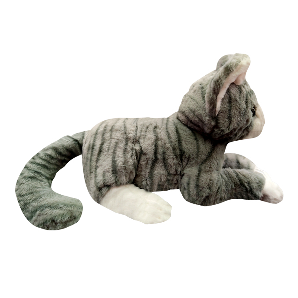 Paws Cat Gray Tabby