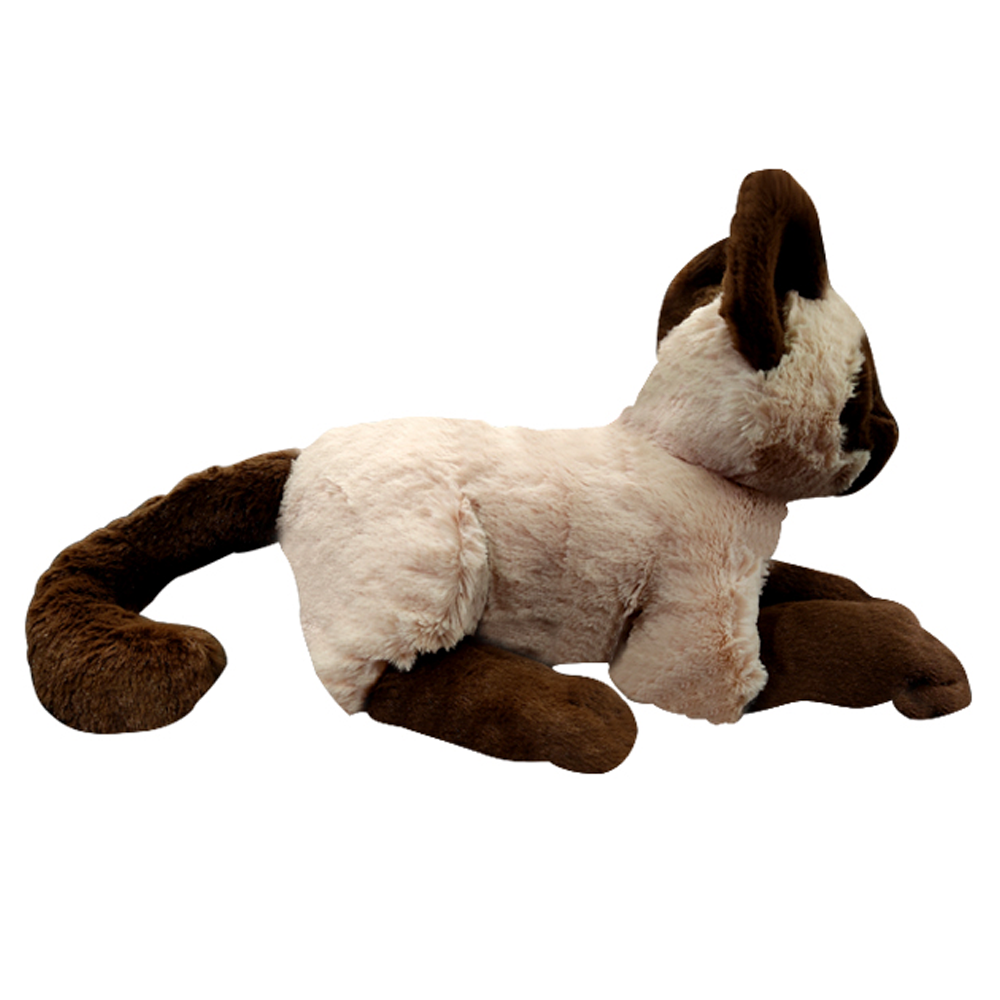 Paws Cat Siamese