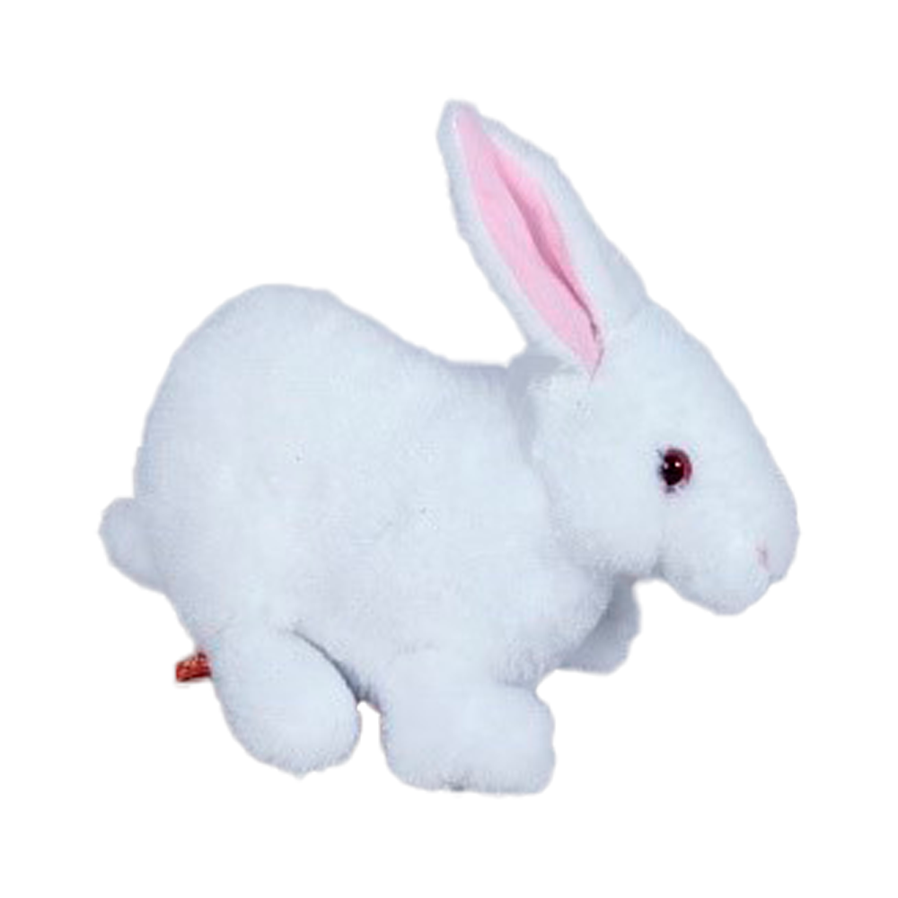 White Rabbit 12''