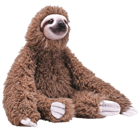 Artist Collection - Sloth