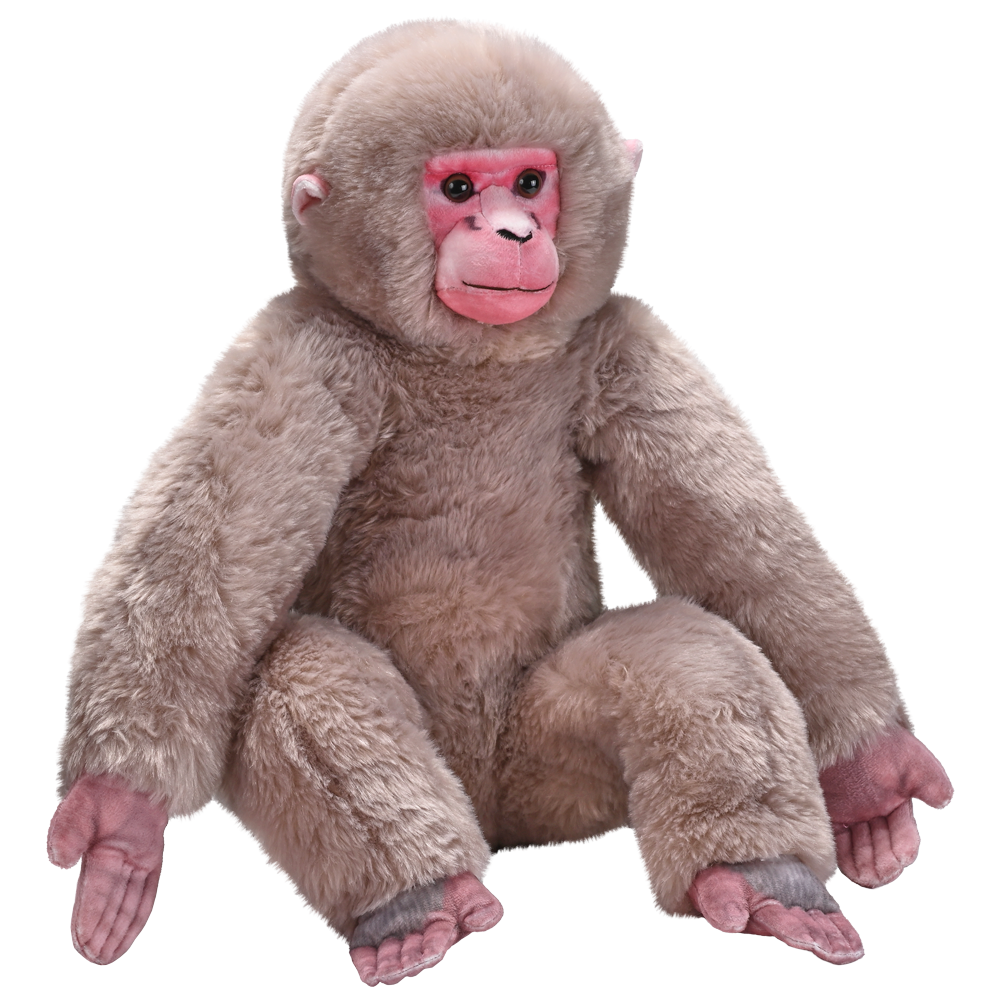 Artist Collection - Japanese Macaque