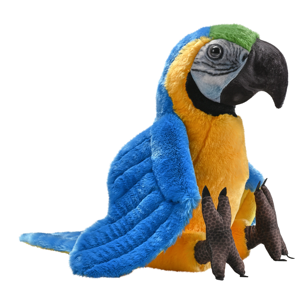 Artist Collection - Blue Yellow Macaw