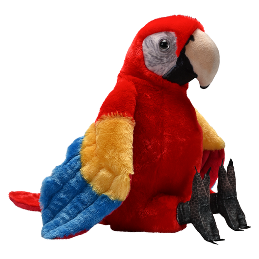 Artist Collection - Scarlet Macaw