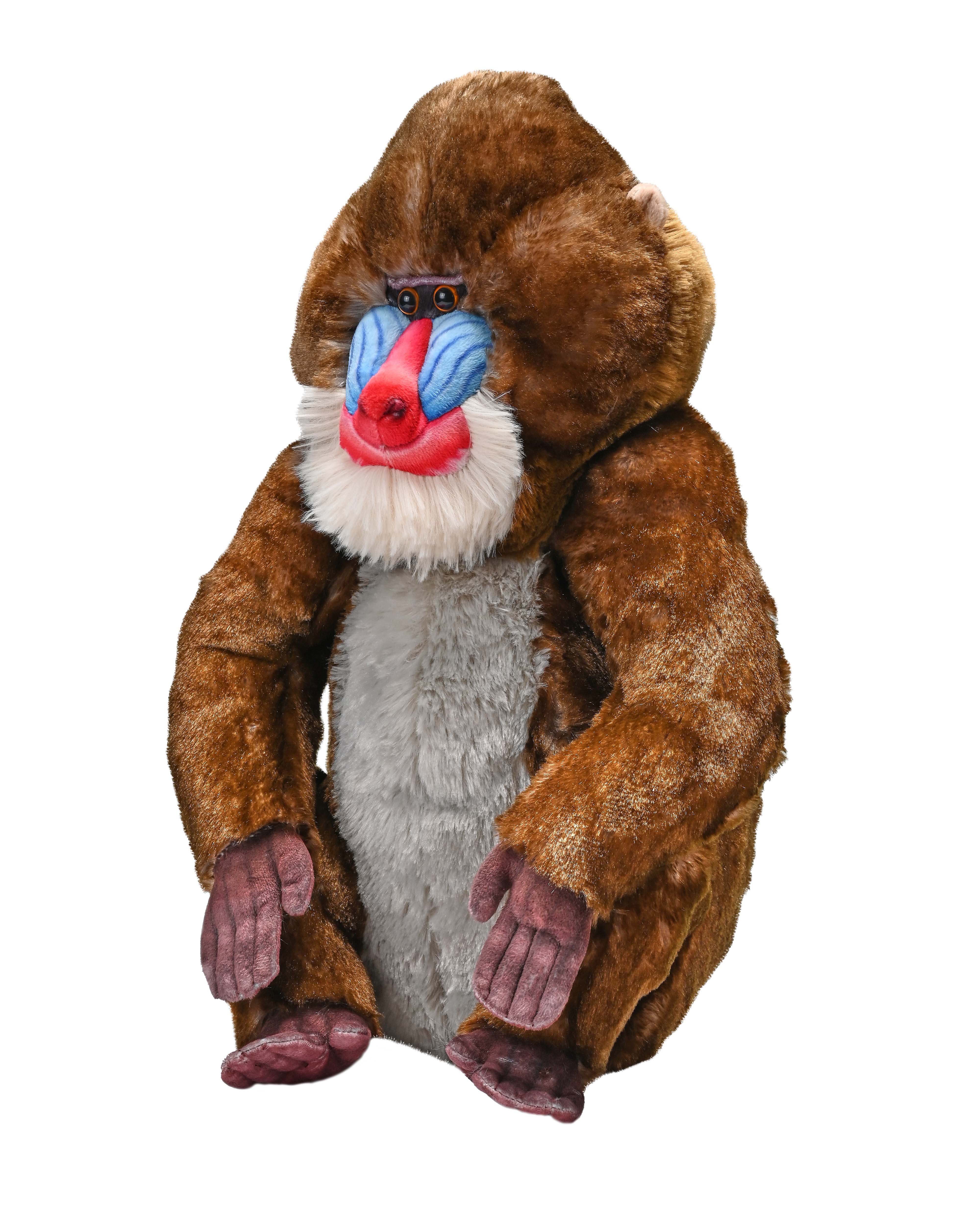 Artist Collection Mandrill 15"