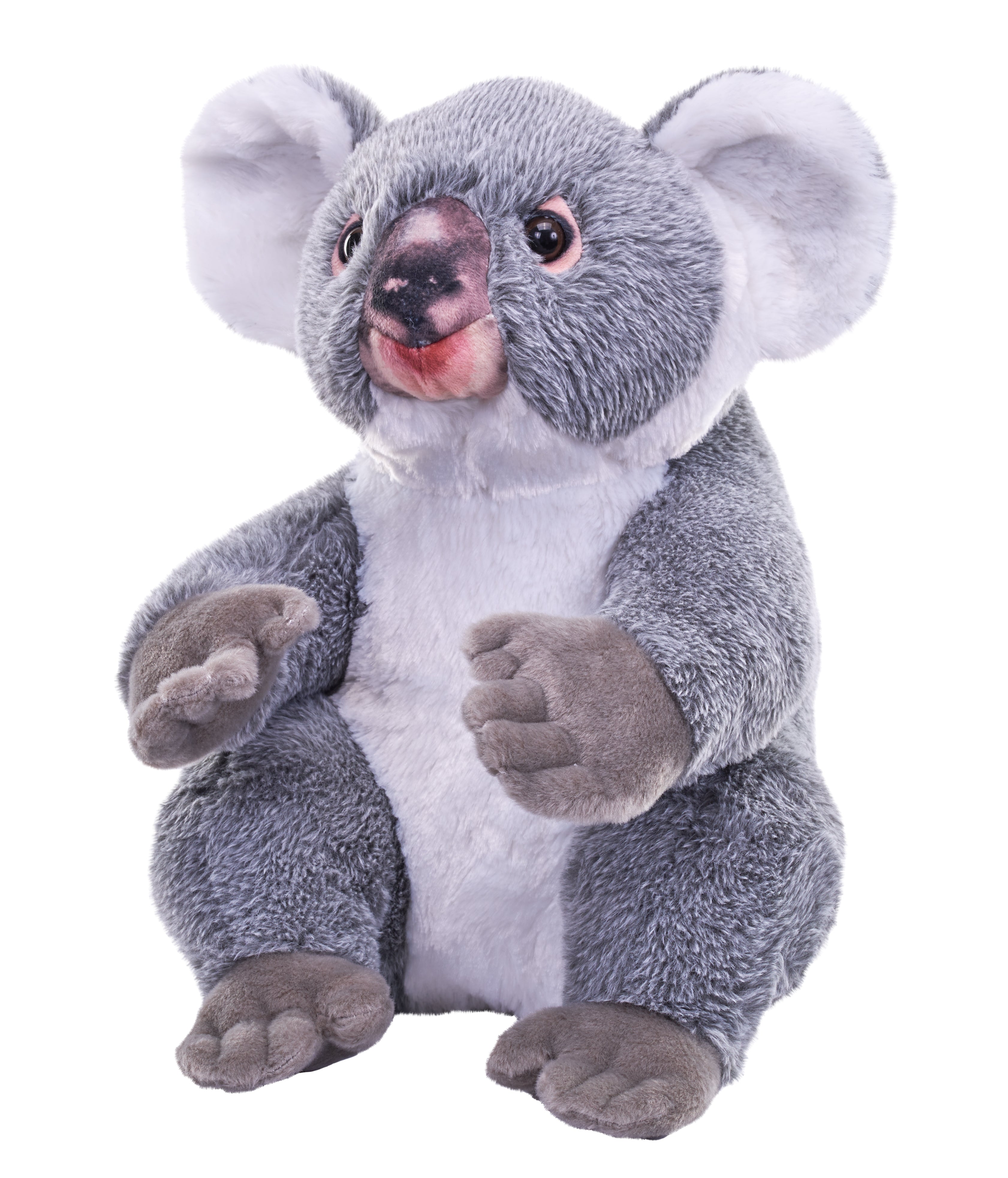 Artist Collection Koala 15"