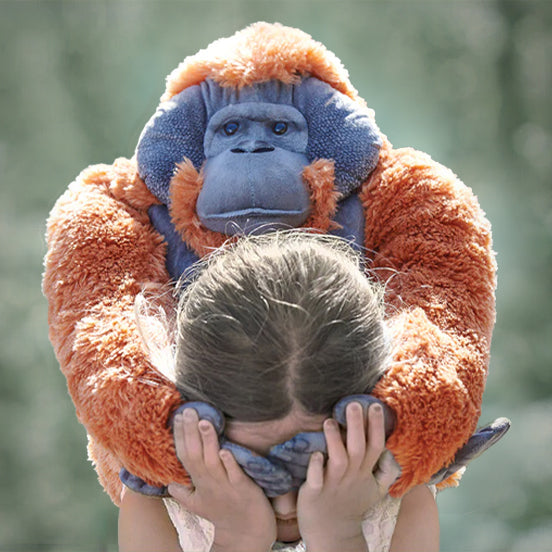 Contact Banner Image