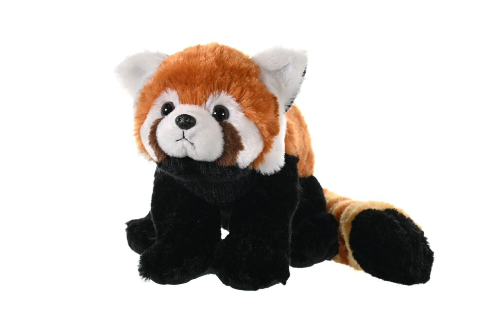 Cuddlekins Red Panda 12"