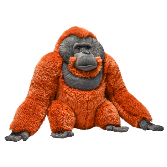 Artist Collection - Male Orangutan